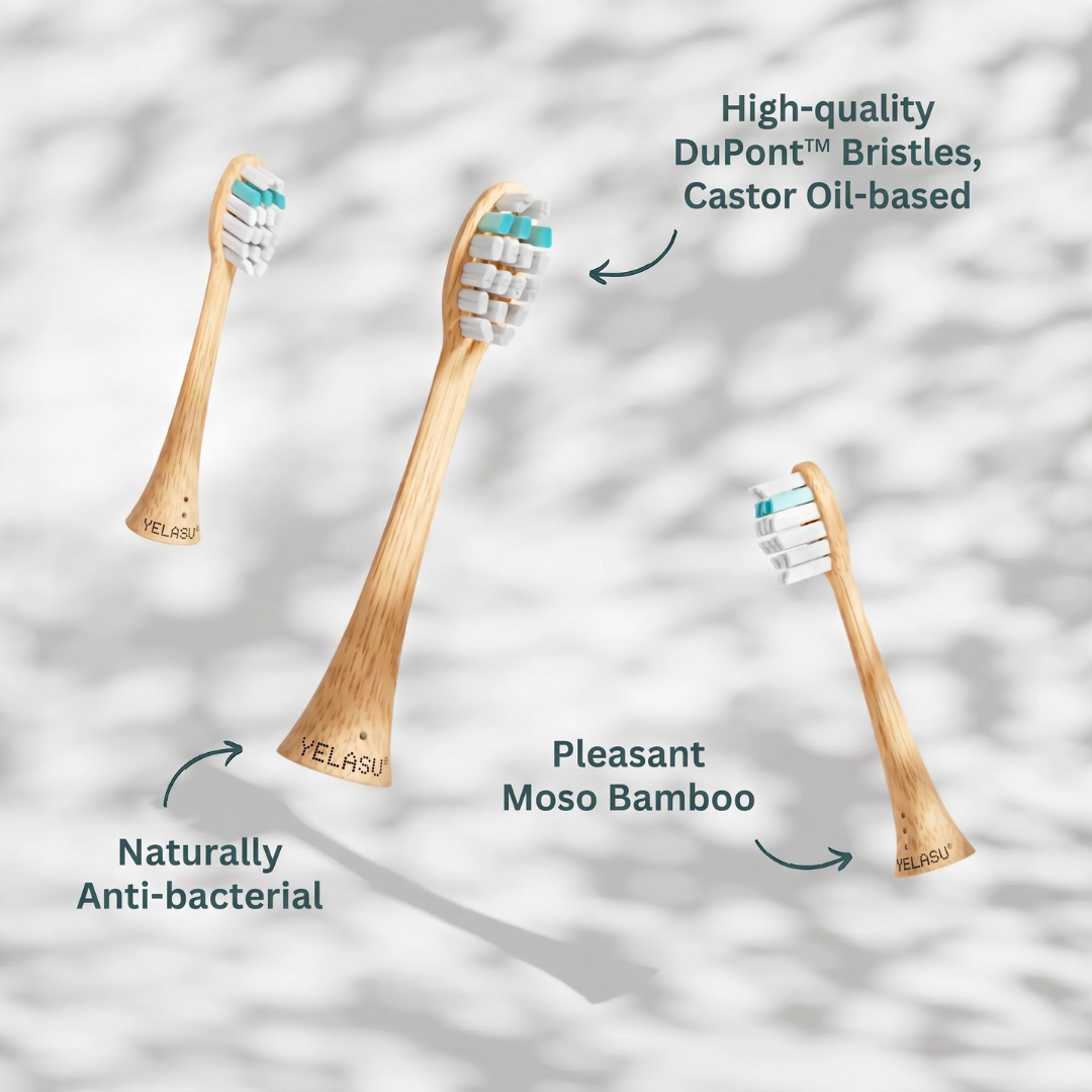 Sustainable Sonic Toothbrush